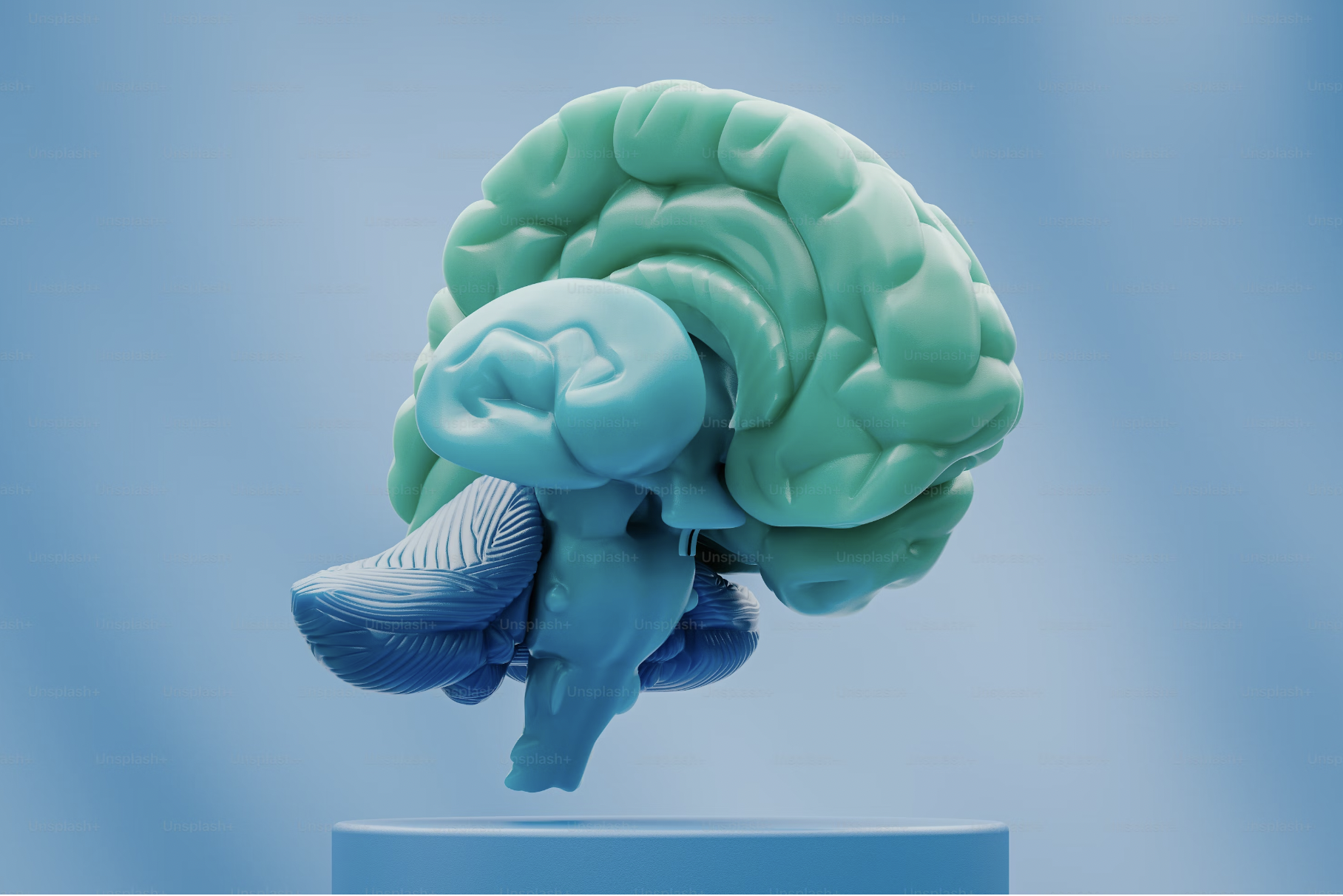 دورة اشتري دماغك